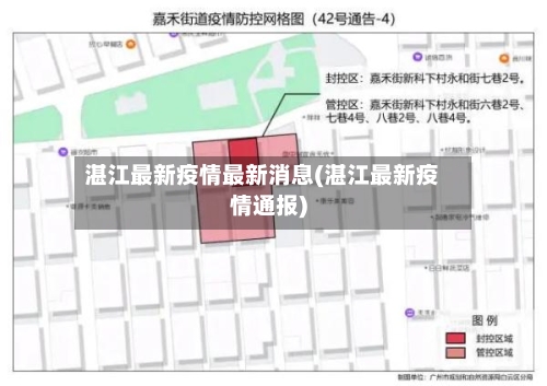 湛江最新疫情最新消息(湛江最新疫情通报)-第3张图片