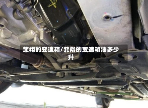 菲翔的变速箱/菲翔的变速箱油多少升