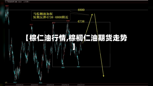 【棕仁油行情,棕榈仁油期货走势】