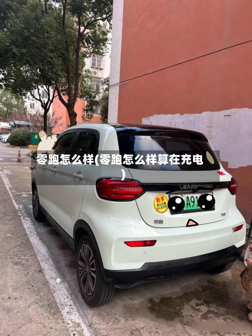 零跑怎么样(零跑怎么样算在充电)