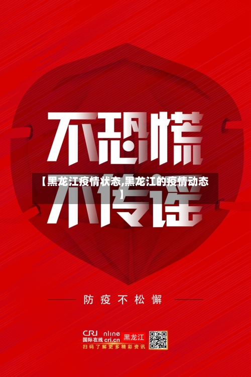 【黑龙江疫情状态,黑龙江的疫情动态】-第3张图片
