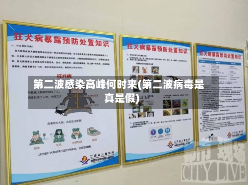 第二波感染高峰何时来(第二波病毒是真是假)