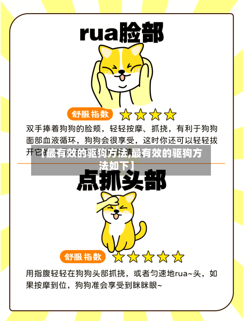 【最有效的驱狗方法,最有效的驱狗方法如下】