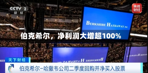 伯克希尔，净利润大增超100%-第2张图片