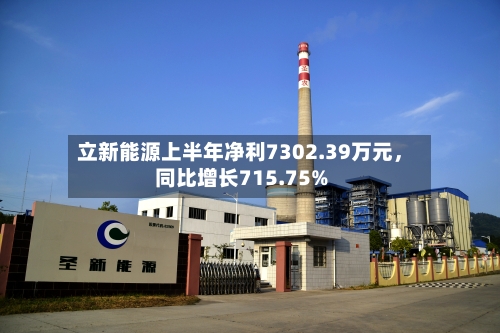 立新能源上半年净利7302.39万元，同比增长715.75%