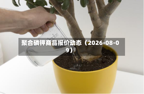 聚合磷钾商品报价动态(2026-08-09)-第3张图片