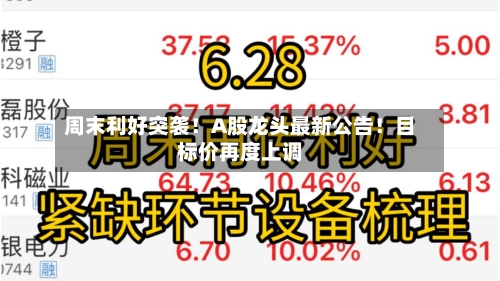 周末利好突袭！A股龙头最新公告！目标价再度上调-第1张图片