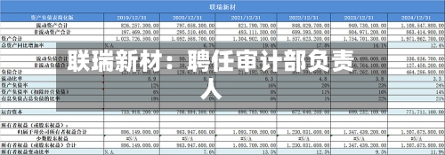 联瑞新材:聘任审计部负责人-第3张图片