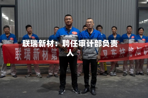 联瑞新材:聘任审计部负责人-第2张图片