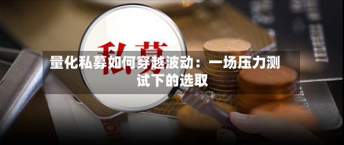 量化私募如何穿越波动:一场压力测试下的选取
-第3张图片