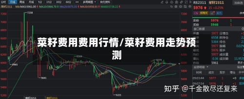 菜籽费用费用行情/菜籽费用走势预测