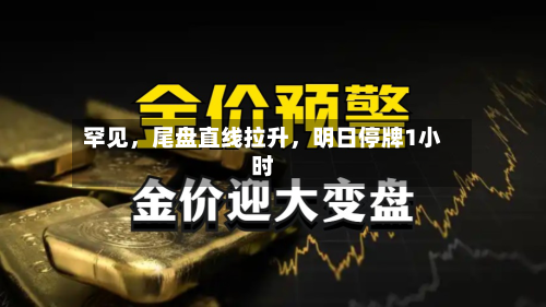 罕见，尾盘直线拉升，明日停牌1小时-第2张图片