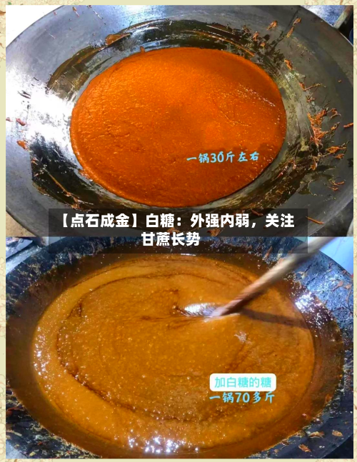 【点石成金】白糖：外强内弱	，关注甘蔗长势-第3张图片