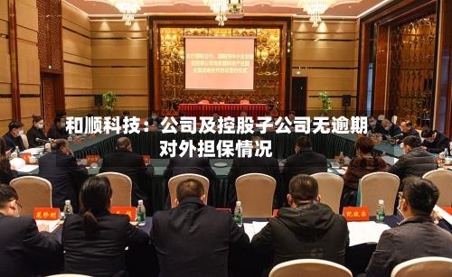 和顺科技:公司及控股子公司无逾期对外担保情况-第2张图片