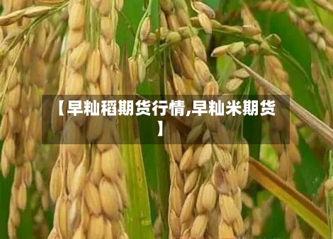 【早籼稻期货行情,早籼米期货】