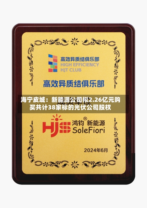 海宁皮城:新能源公司拟2.26亿元购买共计38家标的光伏公司股权-第2张图片