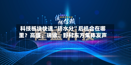 科技板块快速“挤水分”后机会在哪里？高盛、瑞银	、野村东方集体发声-第3张图片