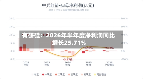 有研硅:2026年半年度净利润同比增长25.71%-第2张图片