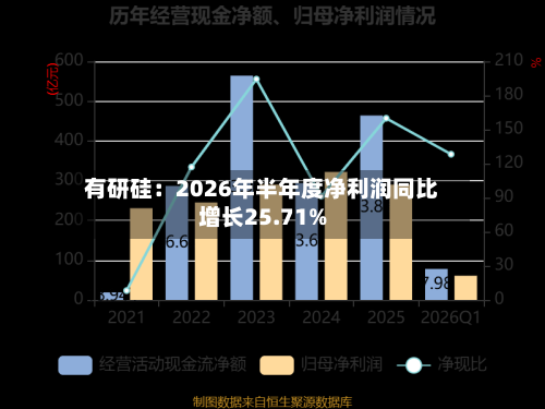 有研硅:2026年半年度净利润同比增长25.71%-第3张图片