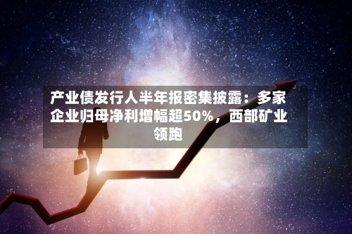 产业债发行人半年报密集披露：多家企业归母净利增幅超50%，西部矿业领跑-第2张图片
