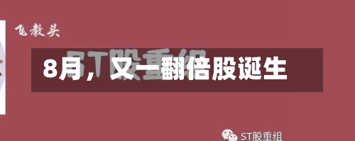 8月，又一翻倍股诞生-第2张图片