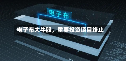 电子布大牛股，重要投资项目终止-第1张图片