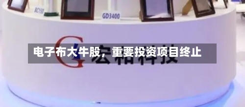 电子布大牛股，重要投资项目终止-第2张图片