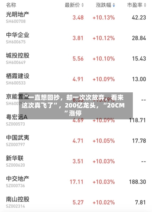 “一直想回抄，却一次次放弃，看来这次真飞了”	，200亿龙头，“20CM	”涨停-第3张图片