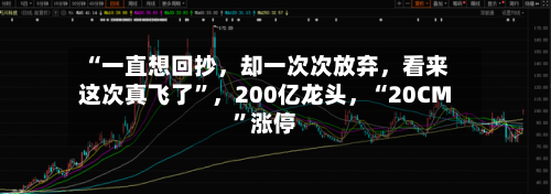 “一直想回抄，却一次次放弃，看来这次真飞了”	，200亿龙头，“20CM”涨停-第2张图片