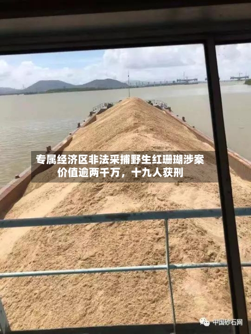 专属经济区非法采捕野生红珊瑚涉案价值逾两千万，十九人获刑-第2张图片