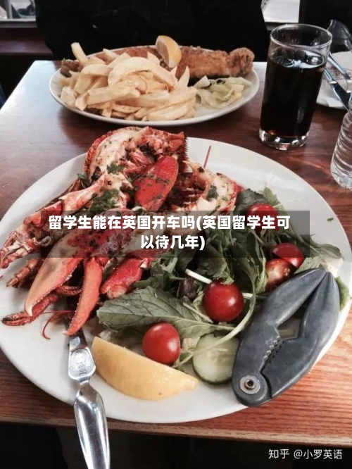 留学生能在英国开车吗(英国留学生可以待几年)-第3张图片