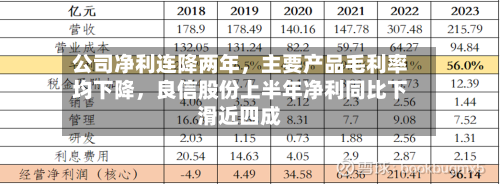 公司净利连降两年，主要产品毛利率均下降，良信股份上半年净利同比下滑近四成-第2张图片