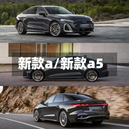 新款a/新款a5