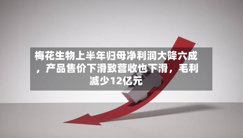 梅花生物上半年归母净利润大降六成	，产品售价下滑致营收也下滑，毛利减少12亿元-第2张图片