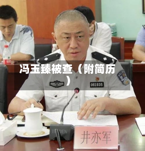 冯玉臻被查(附简历)-第2张图片