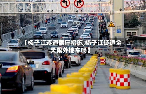 【杨子江遂道限行措施,扬子江隧道全天限外地车吗】-第3张图片