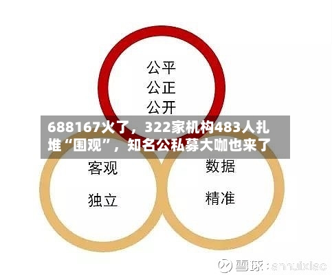 688167火了，322家机构483人扎堆“围观”	，知名公私募大咖也来了-第3张图片