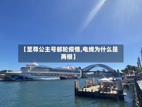 【至尊公主号邮轮疫情,电线为什么是两根】-第2张图片