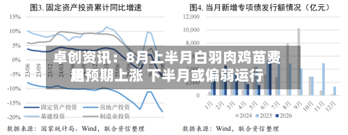卓创资讯:8月上半月白羽肉鸡苗费用
超预期上涨 下半月或偏弱运行-第2张图片
