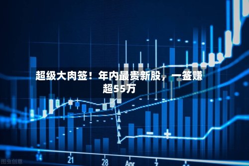 超级大肉签！年内最贵新股，一签赚超55万-第2张图片