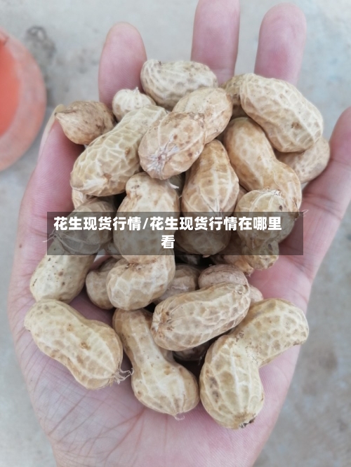 花生现货行情/花生现货行情在哪里看-第2张图片