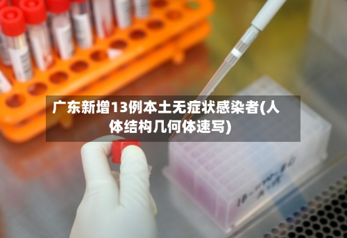 广东新增13例本土无症状感染者(人体结构几何体速写)-第2张图片