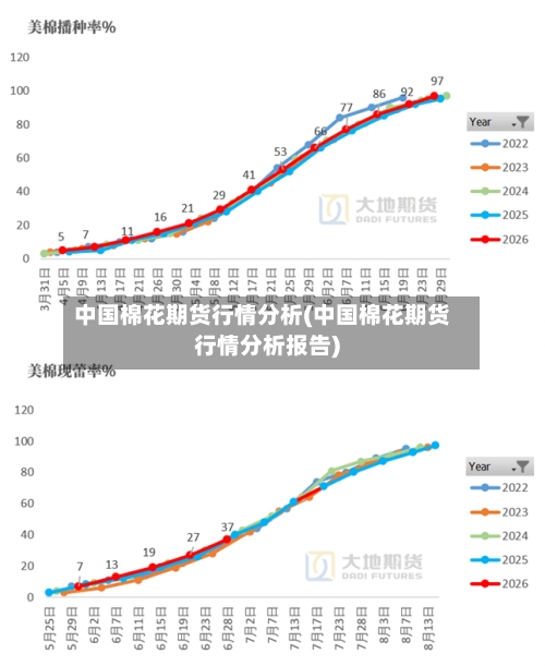 中国棉花期货行情分析(中国棉花期货行情分析报告)-第2张图片