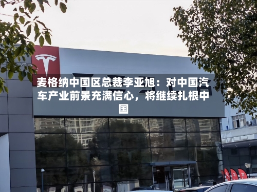 麦格纳中国区总裁李亚旭：对中国汽车产业前景充满信心	，将继续扎根中国-第3张图片