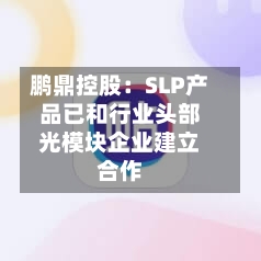 鹏鼎控股:SLP产品已和行业头部光模块企业建立合作-第2张图片