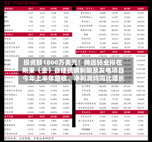 投资额1800万美元！腾远钴业拟在刚果（金）自建硫磺制酸及发电项目 今年上半年营收、净利润均同比增长-第2张图片