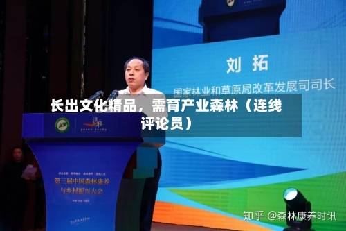 长出文化精品	，需育产业森林（连线评论员）-第2张图片