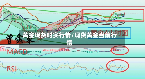 黄金现货时实行情/现货黄金当前行情-第3张图片