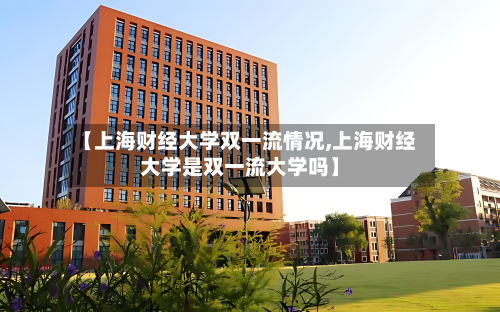 【上海财经大学双一流情况,上海财经大学是双一流大学吗】-第2张图片