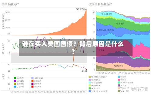 谁在买入美国国债?背后原因是什么?
